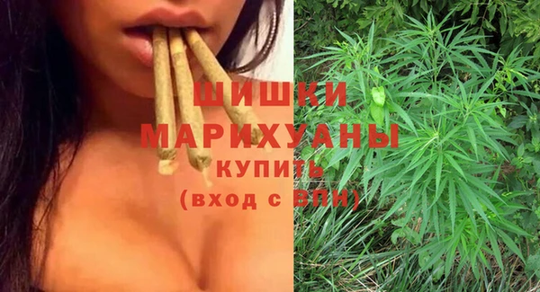 индика Сосновка