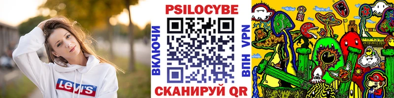 ссылка на мегу ТОР  Будённовск  Галлюциногенные грибы Psilocybe 